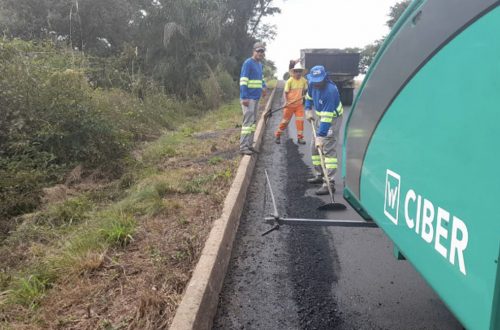 Obra Salton PF